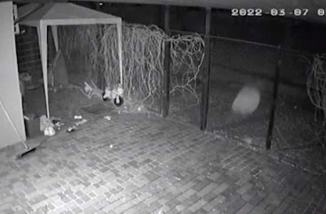 Rusi ostreľovali Mykolajiv raketami s kazetovou muníciou, mimovládka overila desiatky záberov (video)