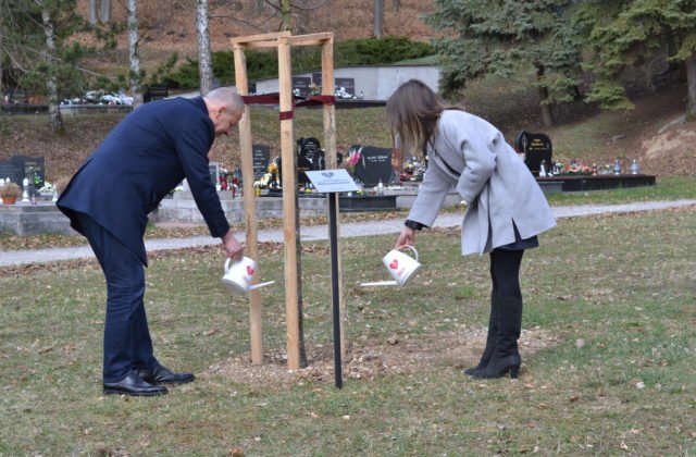 Napriek úsiliu stratili blízkych: V Banskej Bystrici dýcha výnimočná lipa za obete pandémie