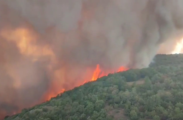 Slováci pomáhajú hasiť najhorší lesný požiar v ére samostatnosti Slovinska, odpálil aj muníciu z čias vojny (video)