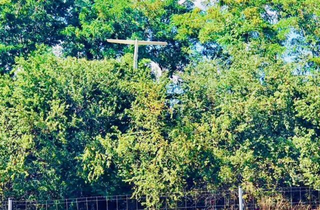 V Dolných Našticiach havaroval vetroň, skončil v korunách stromov (foto)