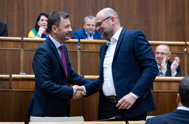 Heger sa stretne so Sulíkom cez víkend, nechce len dovládnuť, ale ukázať ľuďom výsledky