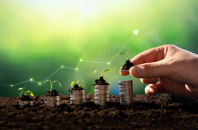 Slováci sú konzervatívni. Väčšinu peňazí držia na produktoch s nulovým úročením a polovica sa bojí investovať