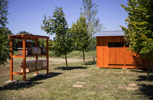 Moravany majú v obecnom parku živý včelársky skanzen, konať sa tu budú prednášky aj apiterapia