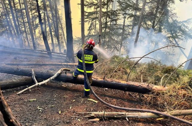 Slovenskí hasiči sa vrátili z Českého Švajčiarska, vrtuľník ministerstva vnútra tam vykonal 881 zhodov