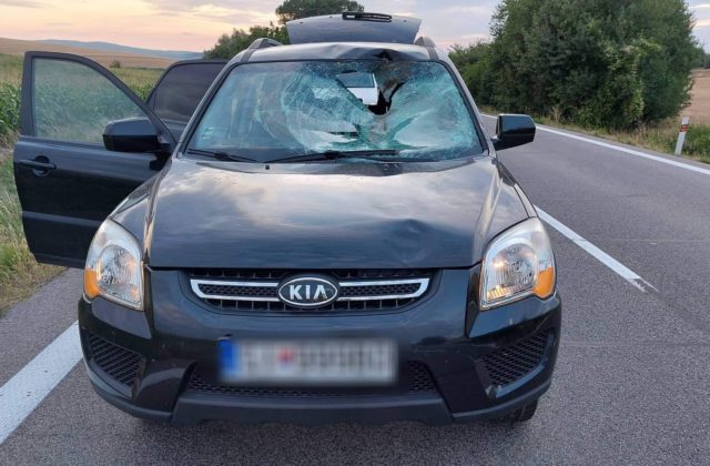 Srna spôsobila dopravnú nehodu pri Častkove, po zrážke s Fordom skončila v interiéri Kie (foto)
