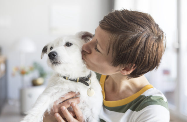 Mars bojuje za adopciu v rámci Medzinárodného dňa domácich miláčikov bez domova