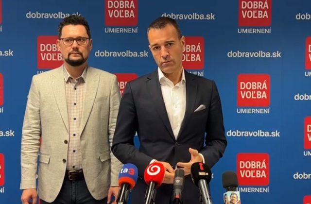 Predčasné voľby by podľa Druckera vyriešili mnoho vecí, na referendum s protiústavnou otázkou má však iný názor