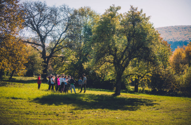 Mestá a obce sa uchádzali o tradičný ovocný sad – ten vyrastie v Topoľčanoch