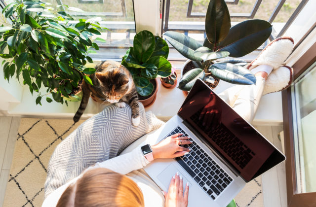 Kvalifikovaní pracovníci vyžadujú v práci flexibilitu, inak hrozia odchodom – ukazuje prieskum