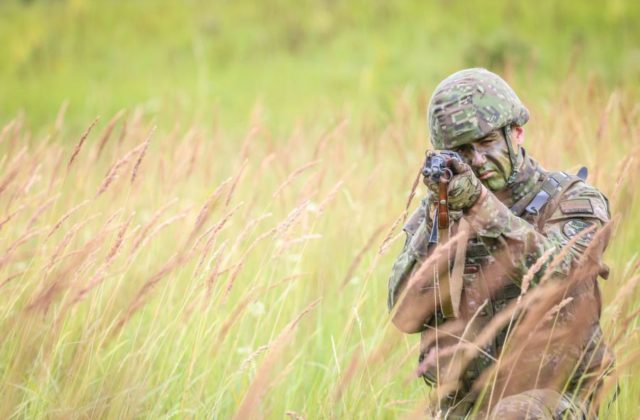 Ozbrojené sily SR oslavujú svoj deň v Brezovej pod Bradlom, hurbanovskí dobrovoľníci v jej okolí zviedli víťaznú bitku