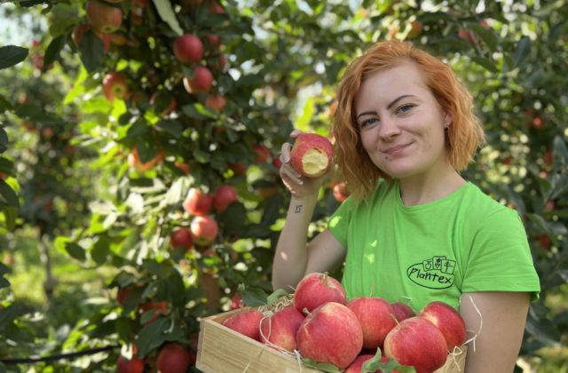 Užite si jeseň pri samozbere v slovenských sadoch