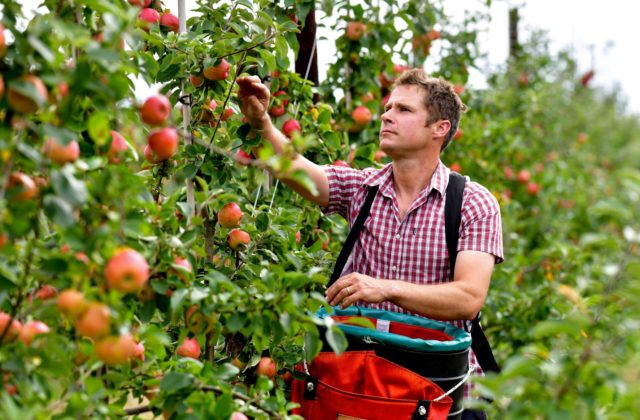 Tesco bojuje proti plytvaniu potravinami z farmy až na tanier