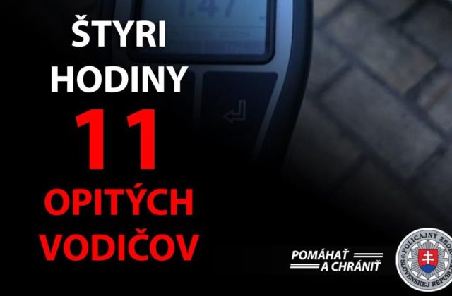 Policajti v Banskobystrickom kraji za štyri hodiny odhalili 175 dopravných priestupkov