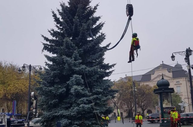 Vianočný stromček stojí už aj na Hviezdoslavovom námestí, rozsvieti sa spolu s kultúrnym programom