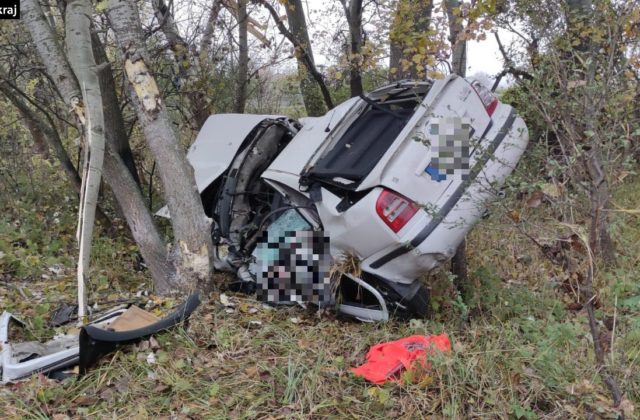 Auto zišlo mimo cestu a narazilo do stromu, vodič aj jeho mladší spolujazdec neprežili (foto)