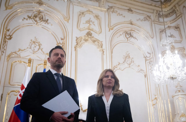 Vládu môže do riadnych volieb určiť prezidentka, ale poťuknúť parlament k predčasným majú možnosť aj ľudia