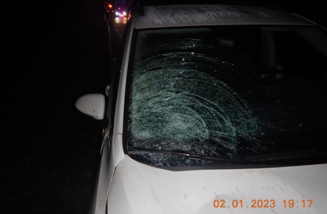 Dievča bez reflexných prvkov vbehlo pod auto na R1, pri prevoze do nemocnice prišlo o život (foto)