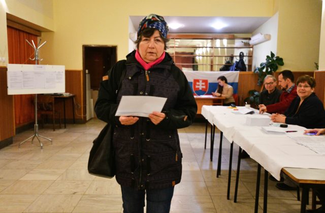 Politológ rozdelil ľudí do piatich skupín podľa názoru na referendum. Do ktorej patríte vy?