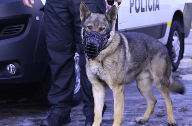 V nemocniciach a poliklinikách v Trnave a okolí hľadali policajti nahlásené výbušné systémy