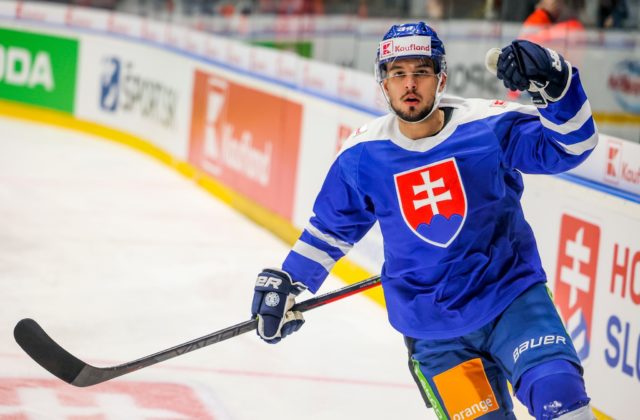 Slováci podľa Jedličku hrali proti Nemcom dobre, musia len premieňať gólové šance (video)