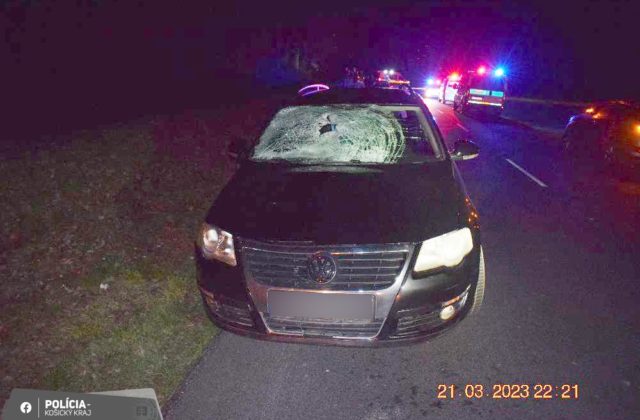 Medzi Vojanmi a Drahňovom zrazilo auto chodca v tmavom oblečení bez reflexných prvkov, 65-ročný muž neprežil