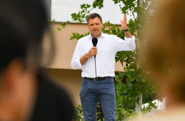 Taraba a Danko spájajú sily, kandidátka SNS má byť atraktívna