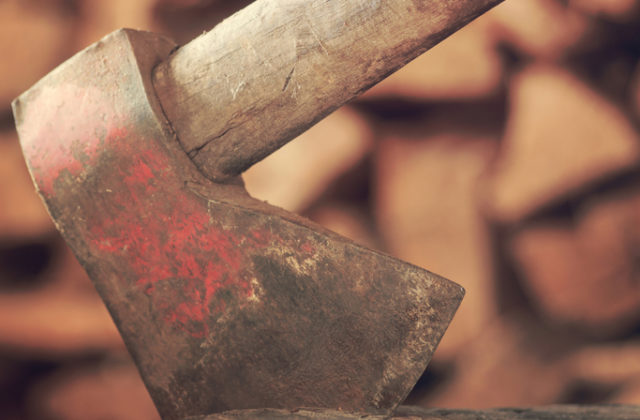 Muž sekerou zabil a rozporcioval psa, pri dokázaní viny mu hrozí šesť mesiacov až tri roky