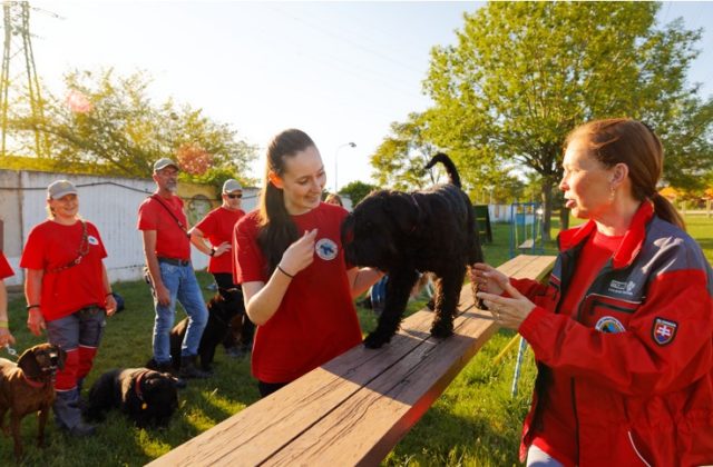 Šanca získať stovky eur na lokálne projekty práve odštartovala v Tescu