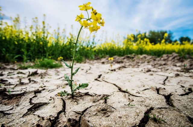 Tripartita žiada vyčíslenie dopadov zákona o zmene klímy na podnikateľské prostredie, riešili sa aj mimoriadne situácie