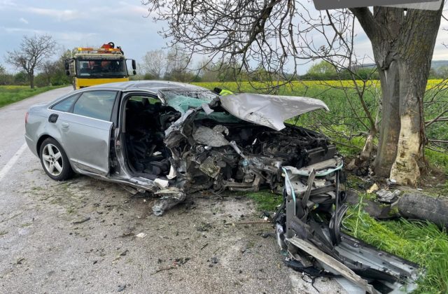 Opitý vodič Audi A6 vpálil rovno do stromu, 19-ročná spolujazdkyňa v nemocnici zomrela (foto)