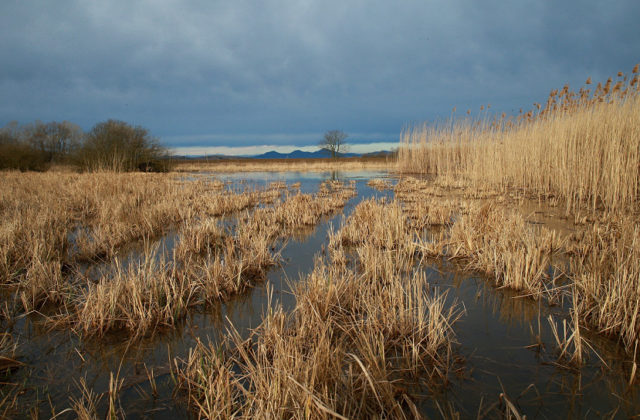 Záujem o grant Pre budúcnosť bol v porovnaní s 2022 viac ako dvojnásobný. 250 tisíc Eur rozdelila Nadácia Slovenskej Sporiteľne medzi 21 projektov