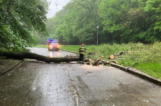 Popadané stromy aj voda, hasiči mali pre nepriazeň počasia desiatky výjazdov (foto)