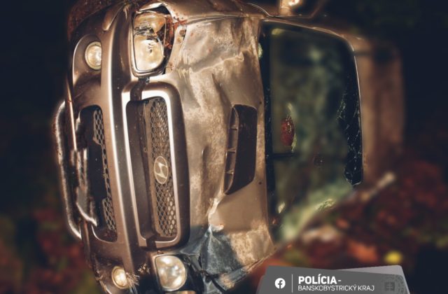 Vodič pri Lučenci zišiel do priekopy a zostal zakliesnený v aute, zraneniam podľahol (foto)