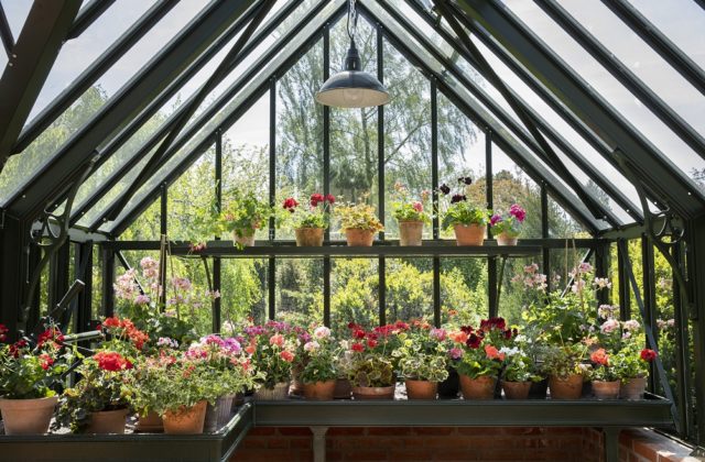 Podpora záhradníckeho sektora na Slovensku