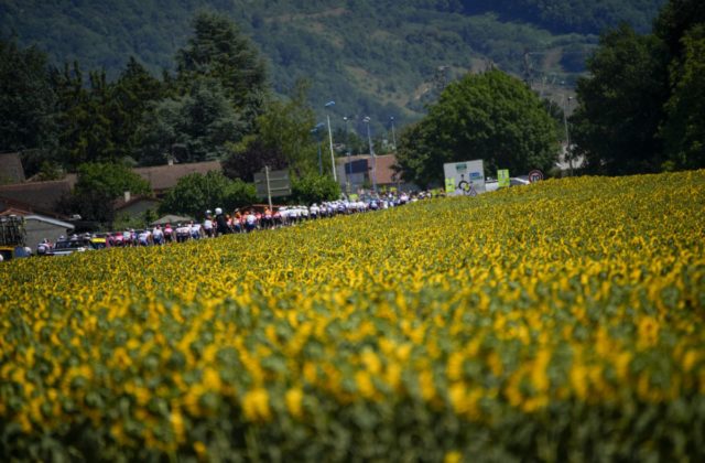 Sagan sa v 14. etape Tour de France 2023 vyhol hromadnému pádu, na zemi skončili desiatky cyklistov (video)