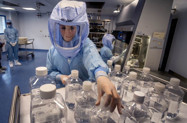 USA tajne experimentujú na Ukrajine s článkonožcami a hantavírusmi, straší ruské ministerstvo