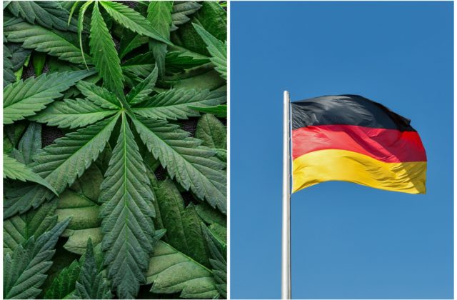 Nemecká vláda schválila plán legalizácie marihuany, stanovili aj podmienky a obmedzenia