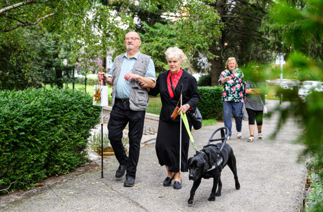 Nevidiaci manželia odvolili s pomocou asistentky, zoznam kandidátov si vypočuli doma z cédečka (video+foto)
