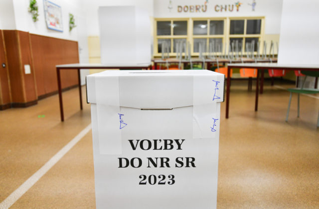 Parlamentné voľby priniesli viac zlých ako dobrých správ, myslí si strana Volt Slovensko