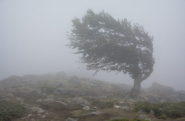 Českí meteorológovia vydali výstrahu, východ krajiny zasiahne silný vietor (foto)