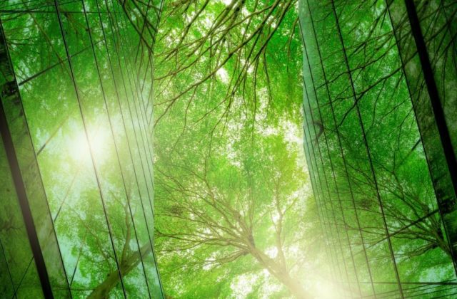 Spojenie Schneider Electric a EcoAct: udržateľnosť cez technológie aj manažment