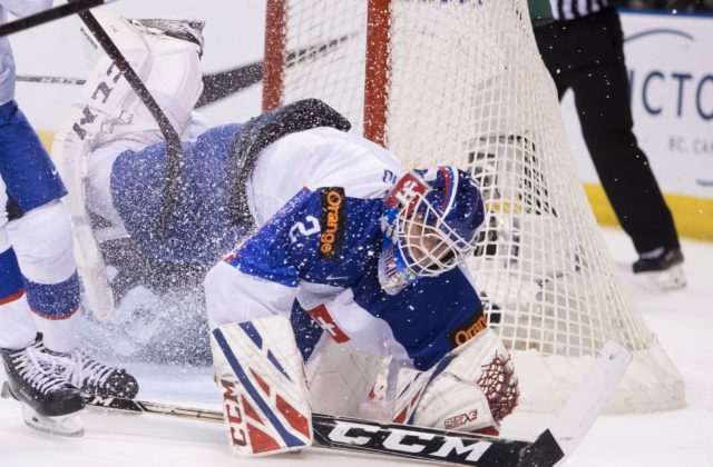 Hokej (Nemecký pohár): Slovensko o gól zdolalo domácu reprezentáciu, ale skončilo druhé