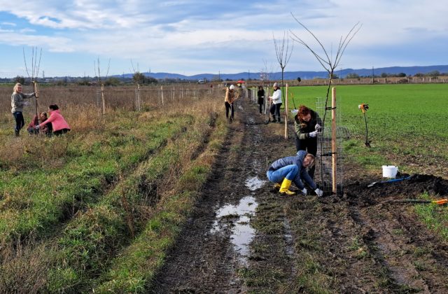 Dobrovoľníci z MetLife sa starajú o životné prostredie a zazeleňujú Slovensko