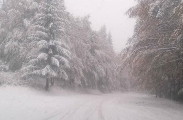 Počasie komplikuje dopravu i dodávky elektriny v Česku, nehoda kamióna zapríčinila uzavretie cesty na niekoľko hodín