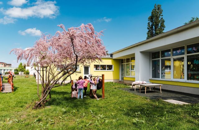 dm ponúka z grantového programu Školy na zelenú príspevok na fotovoltické panely