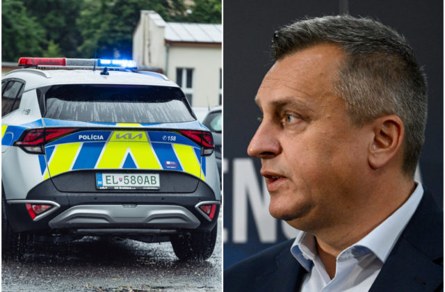 Postupovali policajti v prípade Dankovej nehody správne? Policajný prezident nariadil vykonanie kontroly