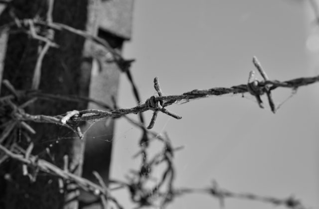 Genocída a holokaust sa musia stať večným mementom toho, čo sa už nikdy nesmie opakovať. Uviedla strana Smer-SD