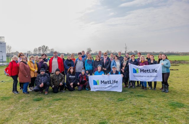 Dobrovoľníci z MetLife už po štvrtý raz vysadili nové stromy a kríky