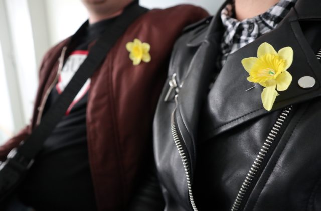 Slovensko bude opäť plné žltých narcisov, možností prispieť bude veľa