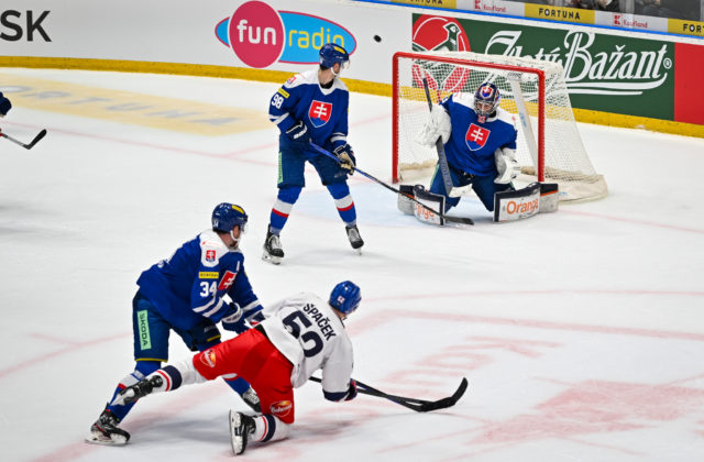 Slováci neuspeli ani v druhom prípravnom zápase na MS, Čechom podľahli aj v Bratislave (foto)